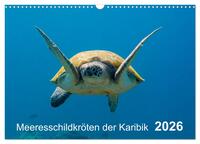 Meeresschildkröten der Karibik (Wandkalender 2026 DIN A3 quer), CALVENDO Monatskalender