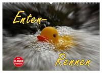 Enten-Rennen (Wandkalender 2026 DIN A2 quer), CALVENDO Monatskalender