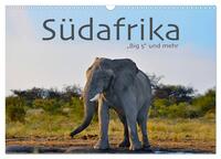 Südafrika - Big 5 und mehr (Wandkalender 2026 DIN A3 quer), CALVENDO Monatskalender