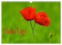 MohnTage (Wandkalender 2026 DIN A3 quer), CALVENDO Monatskalender