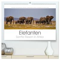 Elefanten - Sanfte Riesen in Afrika (hochwertiger Premium Wandkalender 2026 DIN A2 quer), Kunstdruck in Hochglanz