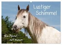 Lustiger Schimmel - ein Pferd mit Humor (Wandkalender 2026 DIN A2 quer), CALVENDO Monatskalender