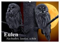 Eulen. Nachtaktiv, lautlos, schön (Wandkalender 2026 DIN A2 quer), CALVENDO Monatskalender