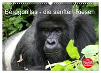 Berggorillas - die sanften Riesen (Wandkalender 2026 DIN A3 quer), CALVENDO Monatskalender
