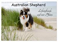 Australian Shepherd - Lebensfreude auf vier Pfoten (Wandkalender 2026 DIN A4 quer), CALVENDO Monatskalender