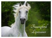 Traumpferd Lipizzaner (Wandkalender 2026 DIN A2 quer), CALVENDO Monatskalender