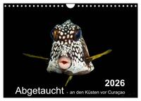 Abgetaucht - an den Küsten vor Curaçao (Wandkalender 2026 DIN A4 quer), CALVENDO Monatskalender