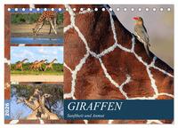 Giraffen - Sanftheit und Anmut (Tischkalender 2026 DIN A5 quer), CALVENDO Monatskalender