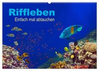 Riffleben - Einfach mal abtauchen (Wandkalender 2026 DIN A2 quer), CALVENDO Monatskalender