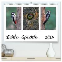 Echte Spechte (hochwertiger Premium Wandkalender 2026 DIN A2 quer), Kunstdruck in Hochglanz