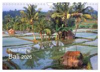 Peter Fischer - Bali 2026 (Wandkalender 2026 DIN A4 quer), CALVENDO Monatskalender