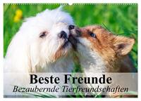 Beste Freunde - Bezaubernde Tierfreundschaften (Wandkalender 2026 DIN A2 quer), CALVENDO Monatskalender
