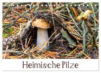 Heimische Pilze (Tischkalender 2026 DIN A5 quer), CALVENDO Monatskalender