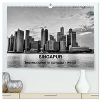 Singapur - Impressionen in schwarz - weiss (hochwertiger Premium Wandkalender 2026 DIN A2 quer), Kunstdruck in Hochglanz