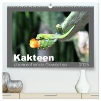 Kakteen - überraschende Gewächse (hochwertiger Premium Wandkalender 2026 DIN A2 quer), Kunstdruck in Hochglanz