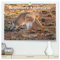 Beuteltiere Australiens (hochwertiger Premium Wandkalender 2026 DIN A2 quer), Kunstdruck in Hochglanz