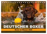 Deutscher Boxer - Boxer im Wasser 2026 (Tischkalender 2026 DIN A5 quer), CALVENDO Monatskalender