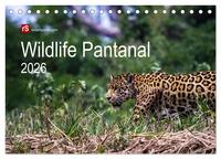 Wildlife Pantanal 2026 (Tischkalender 2026 DIN A5 quer), CALVENDO Monatskalender