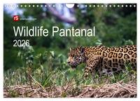 Wildlife Pantanal 2026 (Wandkalender 2026 DIN A4 quer), CALVENDO Monatskalender