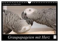 Graupapageien mit Herz (Wandkalender 2026 DIN A4 quer), CALVENDO Monatskalender