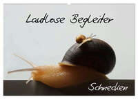 Lautlose Begleiter - Schnecken (Wandkalender 2026 DIN A2 quer), CALVENDO Monatskalender