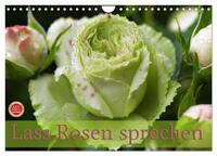 Lass Rosen sprechen (Wandkalender 2026 DIN A4 quer), CALVENDO Monatskalender