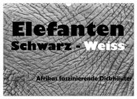 Elefanten Schwarz - Weiss (Wandkalender 2026 DIN A3 quer), CALVENDO Monatskalender