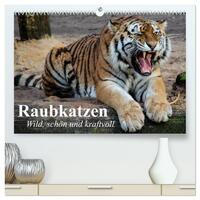 Raubkatzen. Wild, schön und kraftvoll (hochwertiger Premium Wandkalender 2026 DIN A2 quer), Kunstdruck in Hochglanz