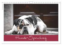Hunde-Spruchreif (Wandkalender 2026 DIN A4 quer), CALVENDO Monatskalender