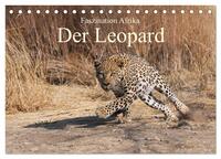 Faszination Afrika: Der Leopard (Tischkalender 2026 DIN A5 quer), CALVENDO Monatskalender