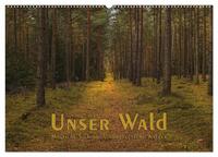 Unser Wald - Magische Sichten in norddeutsche Wälder (Wandkalender 2026 DIN A2 quer), CALVENDO Monatskalender