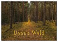 Unser Wald - Magische Sichten in norddeutsche Wälder (Wandkalender 2026 DIN A3 quer), CALVENDO Monatskalender