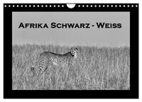 Afrika Schwarz - Weiss (Wandkalender 2026 DIN A4 quer), CALVENDO Monatskalender