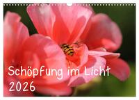 Schöpfung im Licht (Wandkalender 2026 DIN A3 quer), CALVENDO Monatskalender