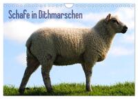 Schafe in Dithmarschen (Wandkalender 2026 DIN A4 quer), CALVENDO Monatskalender