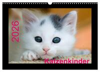 Katzenkinder (Wandkalender 2026 DIN A3 quer), CALVENDO Monatskalender