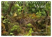 Wald (Tischkalender 2026 DIN A5 quer), CALVENDO Monatskalender