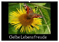 Gelbe Lebensfreude (Wandkalender 2026 DIN A2 quer), CALVENDO Monatskalender