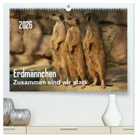 Erdmännchen – Zusammen sind wir stark / CH-Version (hochwertiger Premium Wandkalender 2026 DIN A2 quer), Kunstdruck in Hochglanz