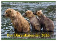 Der Bärenkalender 2026 CH-Version (Tischkalender 2026 DIN A5 quer), CALVENDO Monatskalender