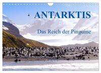 Antarktis - Das Reich der Pinguine (Wandkalender 2026 DIN A4 quer), CALVENDO Monatskalender