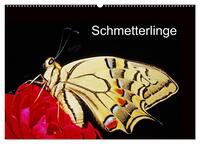 Schmetterlinge (Wandkalender 2026 DIN A2 quer), CALVENDO Monatskalender