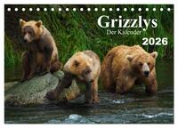 Grizzlys - Der Kalender (Tischkalender 2026 DIN A5 quer), CALVENDO Monatskalender