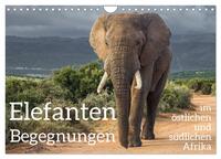 Elefanten Begegnungen im östlichen und südlichen Afrika (Wandkalender 2026 DIN A4 quer), CALVENDO Monatskalender