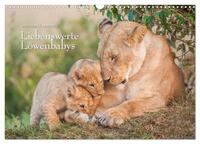 Emotionale Momente: Liebenswerte Löwenbabys / CH-Version (Wandkalender 2026 DIN A3 quer), CALVENDO Monatskalender