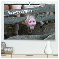 Schweinereien (hochwertiger Premium Wandkalender 2026 DIN A2 quer), Kunstdruck in Hochglanz