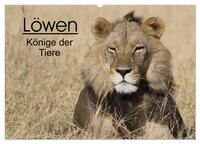 Löwen - Könige der Tiere (Wandkalender 2026 DIN A2 quer), CALVENDO Monatskalender