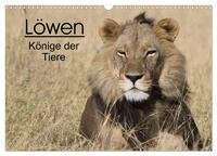 Löwen - Könige der Tiere (Wandkalender 2026 DIN A3 quer), CALVENDO Monatskalender