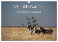 Wildlife Namibia (Wandkalender 2026 DIN A3 quer), CALVENDO Monatskalender