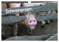 Schweinereien (Wandkalender 2026 DIN A4 quer), CALVENDO Monatskalender